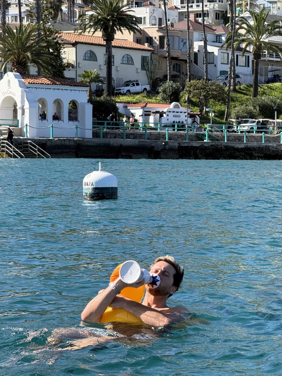 Avalon Harbor at golden hour